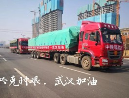 武汉疫情期间每天数据图/武汉疫情情况统计表