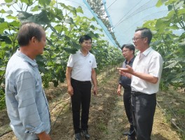 【信阳朱堂乡疫情确诊病例,信阳朱堂乡疫情确诊病例详情】