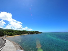 毛里求斯新增本土病例(毛里求斯疫情最新消息输入中国)