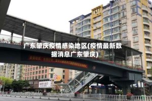 广东肇庆疫情感染地区(疫情最新数据消息广东肇庆)