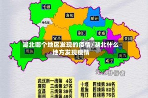 湖北哪个地区发现的疫情/湖北什么地方发现疫情