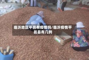 临沂地区平邑有疫情吗/临沂疫情平邑县有几例