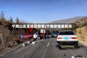 宁南山东亚地区疫情(宁南疫情最新消息)