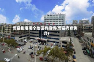 曹县到底哪个地区有疫情(曹县有病例吗)