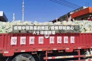 疫情中捐蔬菜的地区/疫情期间爱心人士捐赠蔬菜