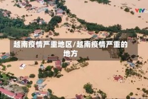 越南疫情严重地区/越南疫情严重的地方