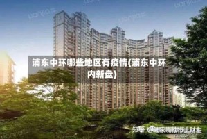 浦东中环哪些地区有疫情(浦东中环内新盘)