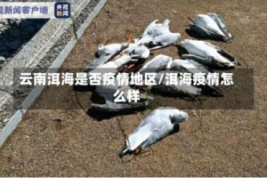云南洱海是否疫情地区/洱海疫情怎么样