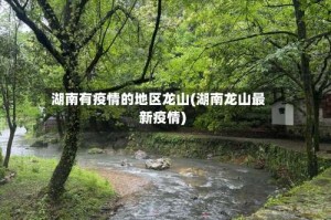 湖南有疫情的地区龙山(湖南龙山最新疫情)