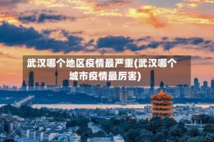 武汉哪个地区疫情最严重(武汉哪个城市疫情最厉害)