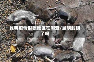 昆明疫情封锁地区在哪查/昆明封锁了吗