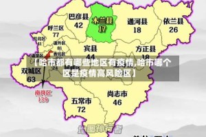 【哈市都有哪些地区有疫情,哈市哪个区是疫情高风险区】