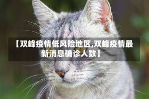 【双峰疫情低风险地区,双峰疫情最新消息确诊人数】