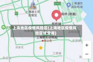 上海地区疫情风险区(上海地区疫情风险区域查询)