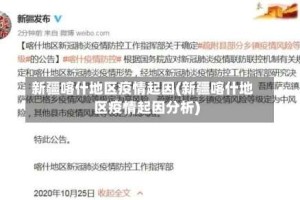 新疆喀什地区疫情起因(新疆喀什地区疫情起因分析)