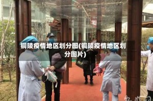 铜陵疫情地区划分图(铜陵疫情地区划分图片)