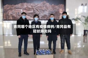 青冈哪个地区有疫情病例/青冈县有冠状肺炎吗