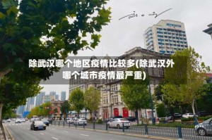 除武汉哪个地区疫情比较多(除武汉外哪个城市疫情最严重)