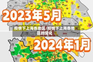 疫情下上海各地区/疫情下上海各地区的变化