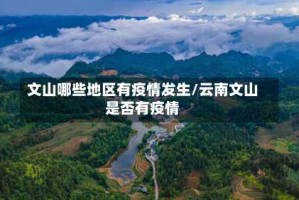 文山哪些地区有疫情发生/云南文山是否有疫情