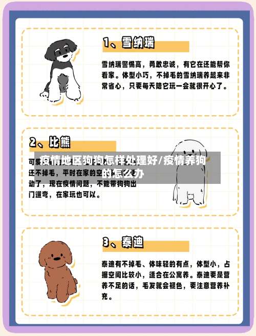 疫情地区狗狗怎样处理好/疫情养狗的怎么办-第3张图片