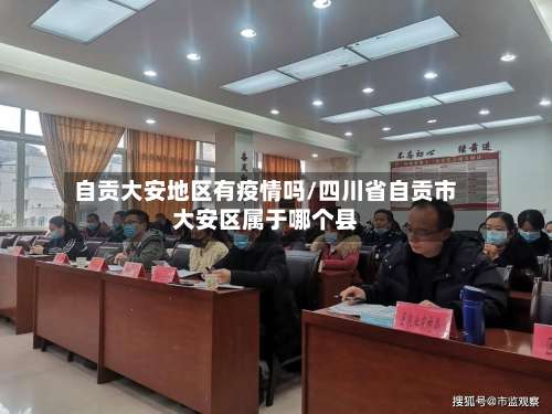 自贡大安地区有疫情吗/四川省自贡市大安区属于哪个县-第2张图片
