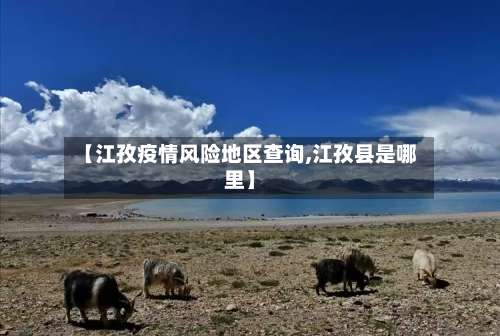 【江孜疫情风险地区查询,江孜县是哪里】-第2张图片