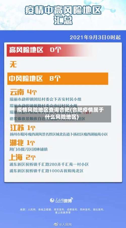 疫情风险地区查询合肥(合肥疫情属于什么风险地区)-第3张图片