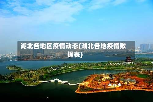 湖北各地区疫情动态(湖北各地疫情数据表)-第1张图片