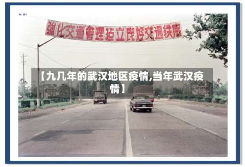 【九几年的武汉地区疫情,当年武汉疫情】-第2张图片