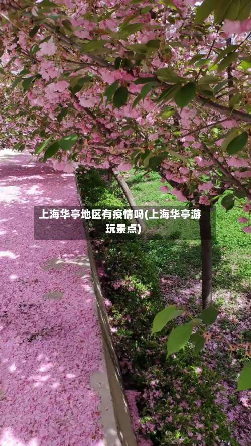 上海华亭地区有疫情吗(上海华亭游玩景点)-第1张图片
