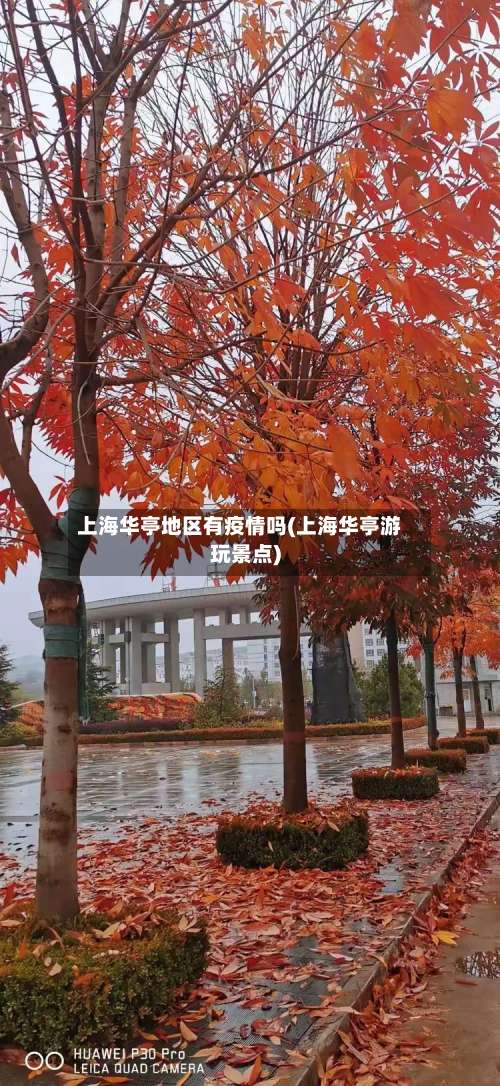 上海华亭地区有疫情吗(上海华亭游玩景点)-第3张图片