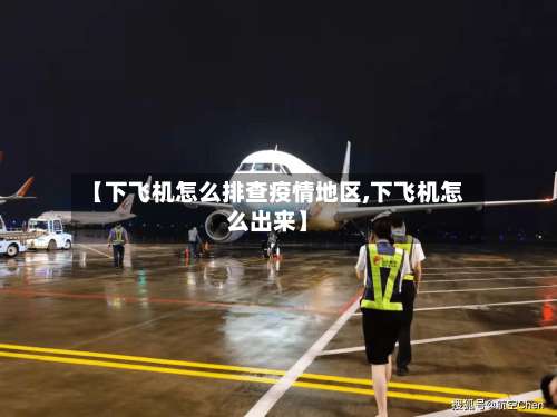 【下飞机怎么排查疫情地区,下飞机怎么出来】-第3张图片