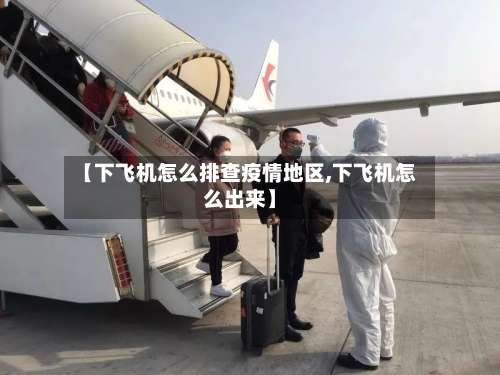 【下飞机怎么排查疫情地区,下飞机怎么出来】-第2张图片