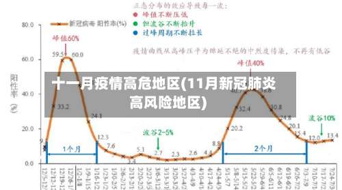 十一月疫情高危地区(11月新冠肺炎高风险地区)-第2张图片