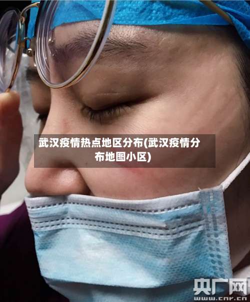 武汉疫情热点地区分布(武汉疫情分布地图小区)-第2张图片