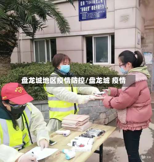 盘龙城地区疫情防控/盘龙城 疫情-第1张图片