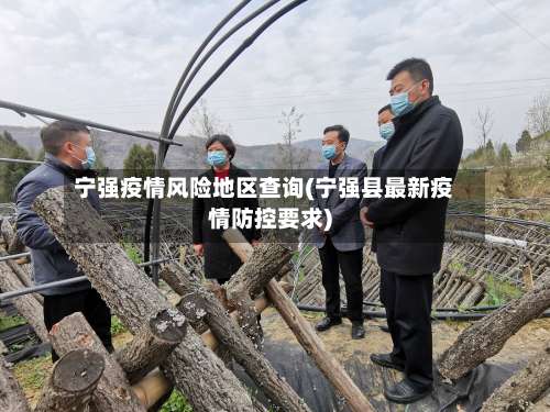 宁强疫情风险地区查询(宁强县最新疫情防控要求)-第2张图片