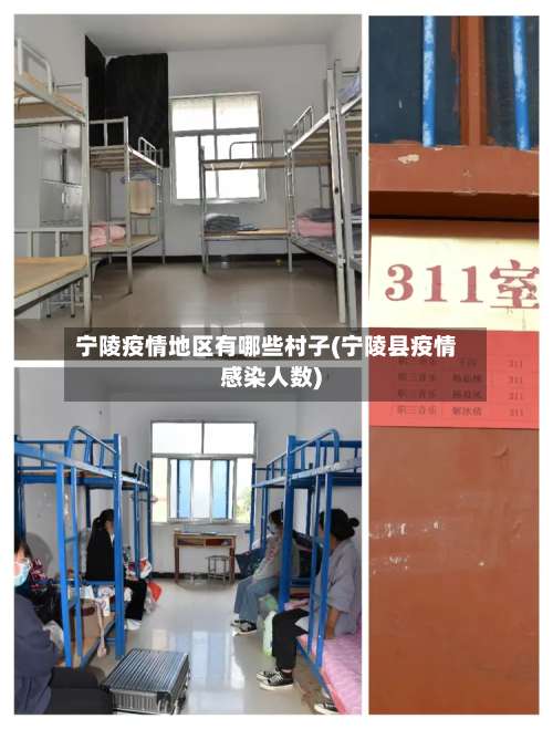 宁陵疫情地区有哪些村子(宁陵县疫情感染人数)-第2张图片