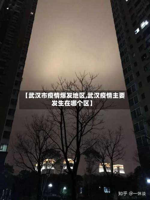 【武汉市疫情爆发地区,武汉疫情主要发生在哪个区】-第3张图片