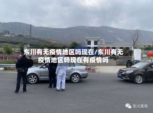 东川有无疫情地区吗现在/东川有无疫情地区吗现在有疫情吗-第2张图片