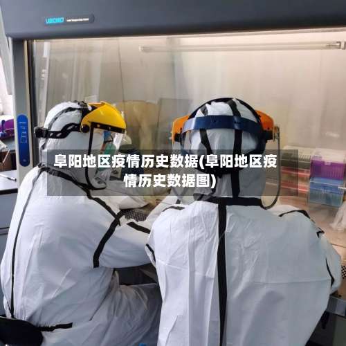 阜阳地区疫情历史数据(阜阳地区疫情历史数据图)-第3张图片