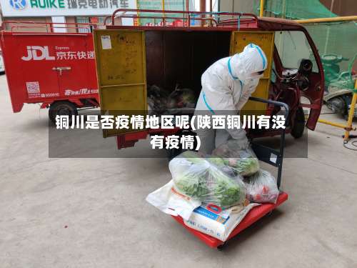 铜川是否疫情地区呢(陕西铜川有没有疫情)-第1张图片