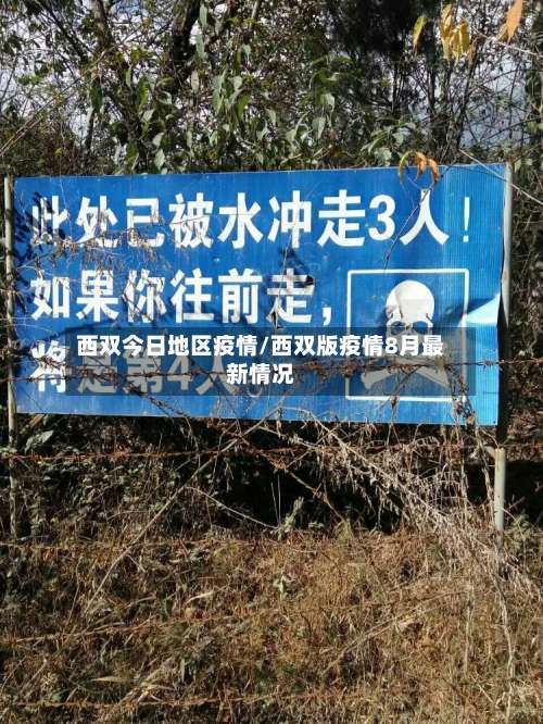 西双今日地区疫情/西双版疫情8月最新情况-第2张图片
