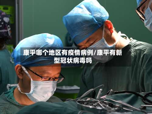 康平哪个地区有疫情病例/康平有新型冠状病毒吗-第1张图片