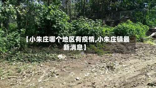 【小朱庄哪个地区有疫情,小朱庄镇最新消息】-第2张图片