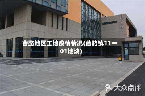 曹路地区工地疫情情况(曹路镇11一01地块)-第3张图片